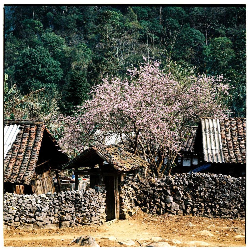 Huyen Tram Guesthouse Донгван Экстерьер фото